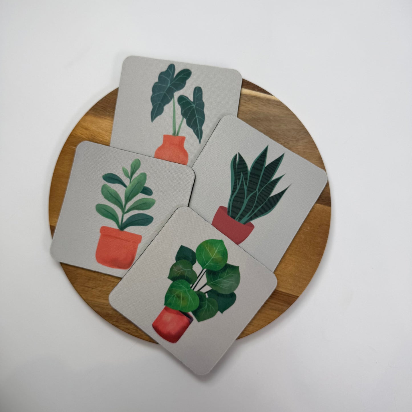 Alocasia Coaster