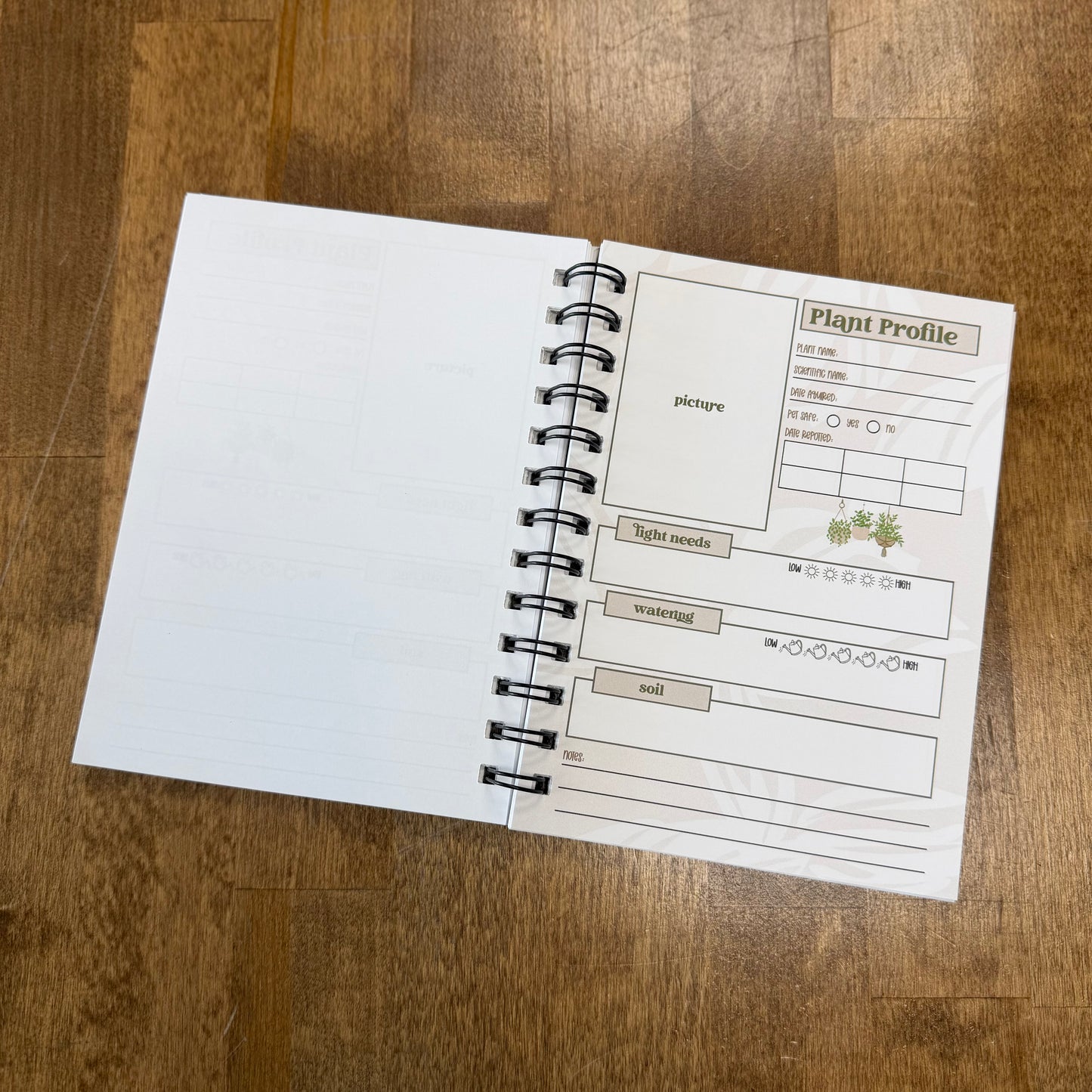 Plant Journal