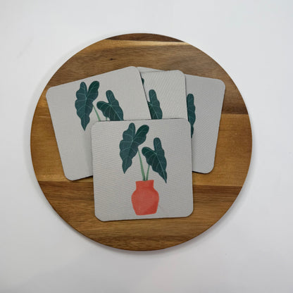 Alocasia Coaster