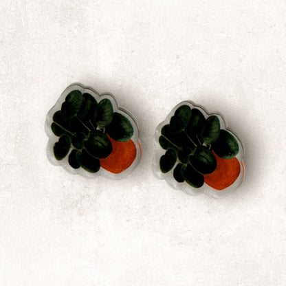 Potted Plant Studs