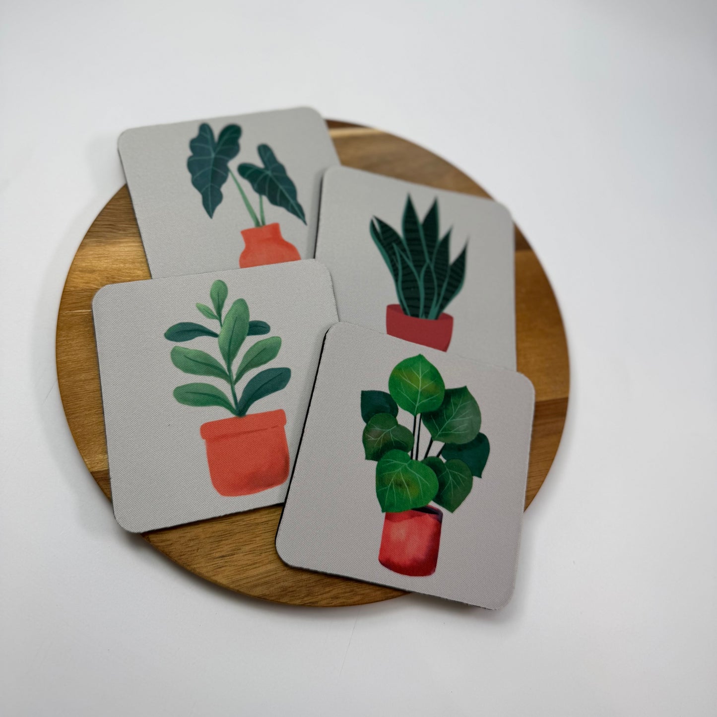 Alocasia Coaster