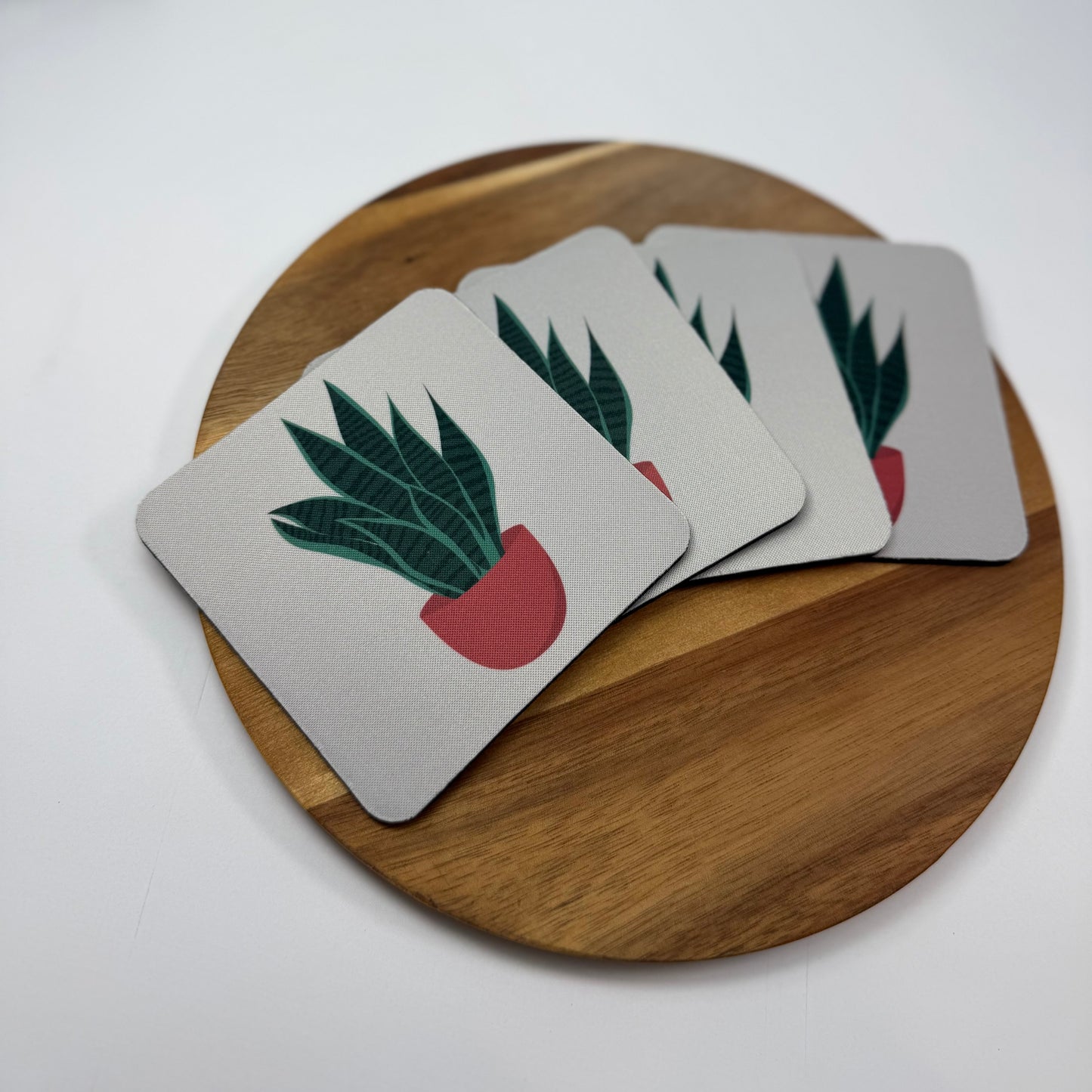 Snake Plant Coaster