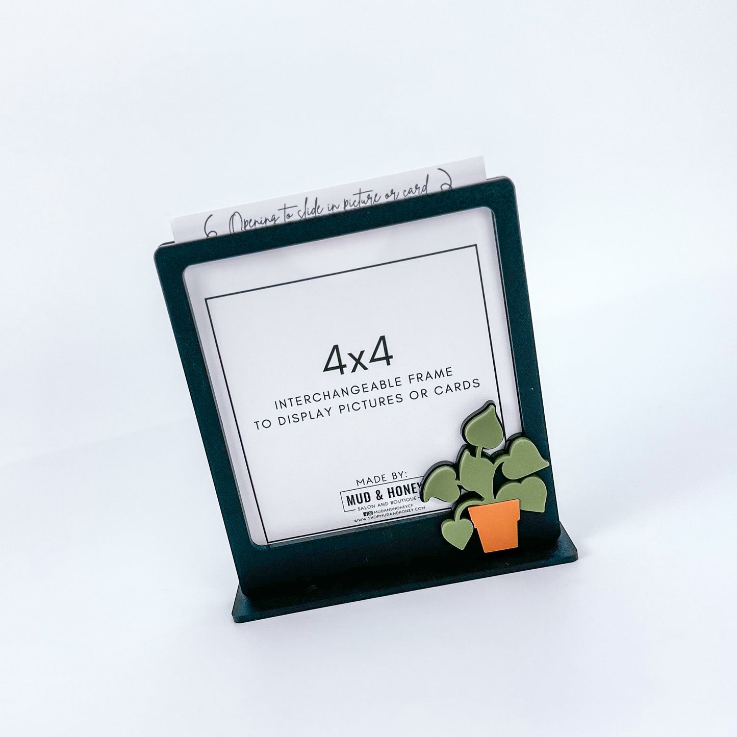 Acrylic Drop In Frame - Black Plant