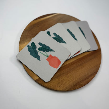 Alocasia Coaster