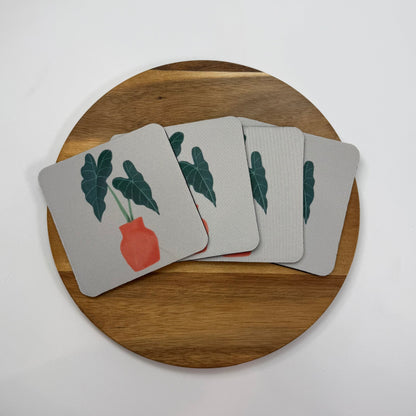 Alocasia Coaster