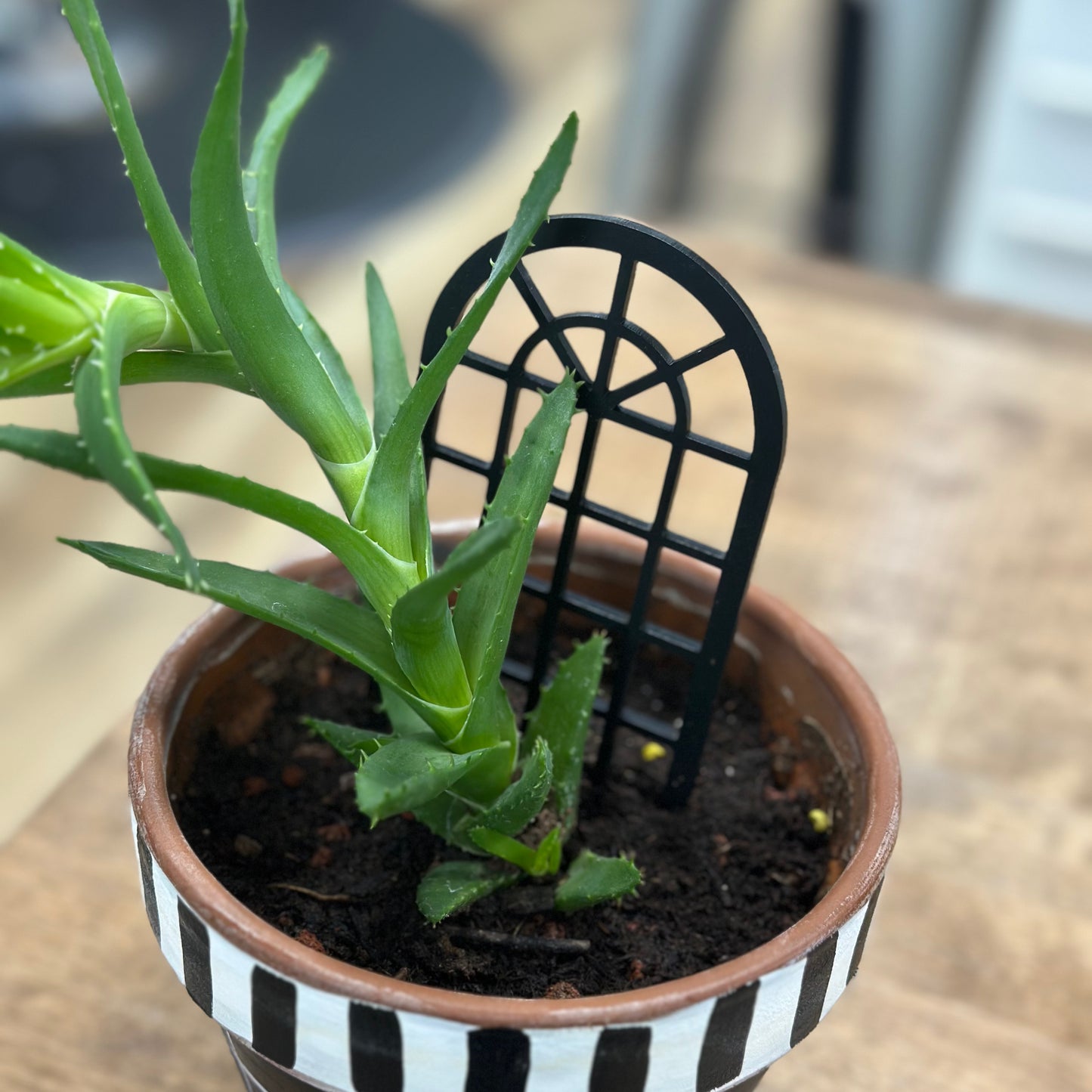 Arch - Plant Trellis